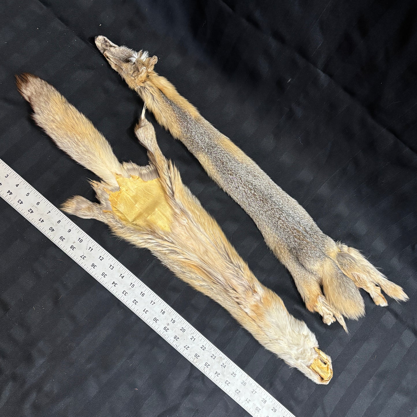 Plains Fox Pelts