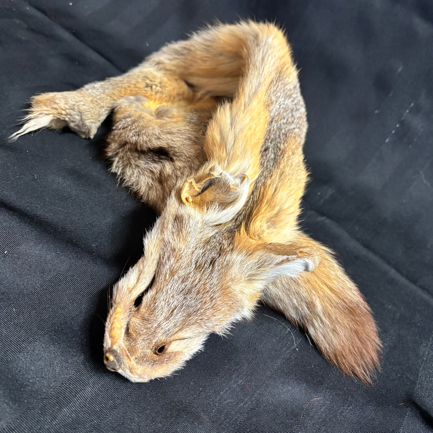Plains Fox Pelts