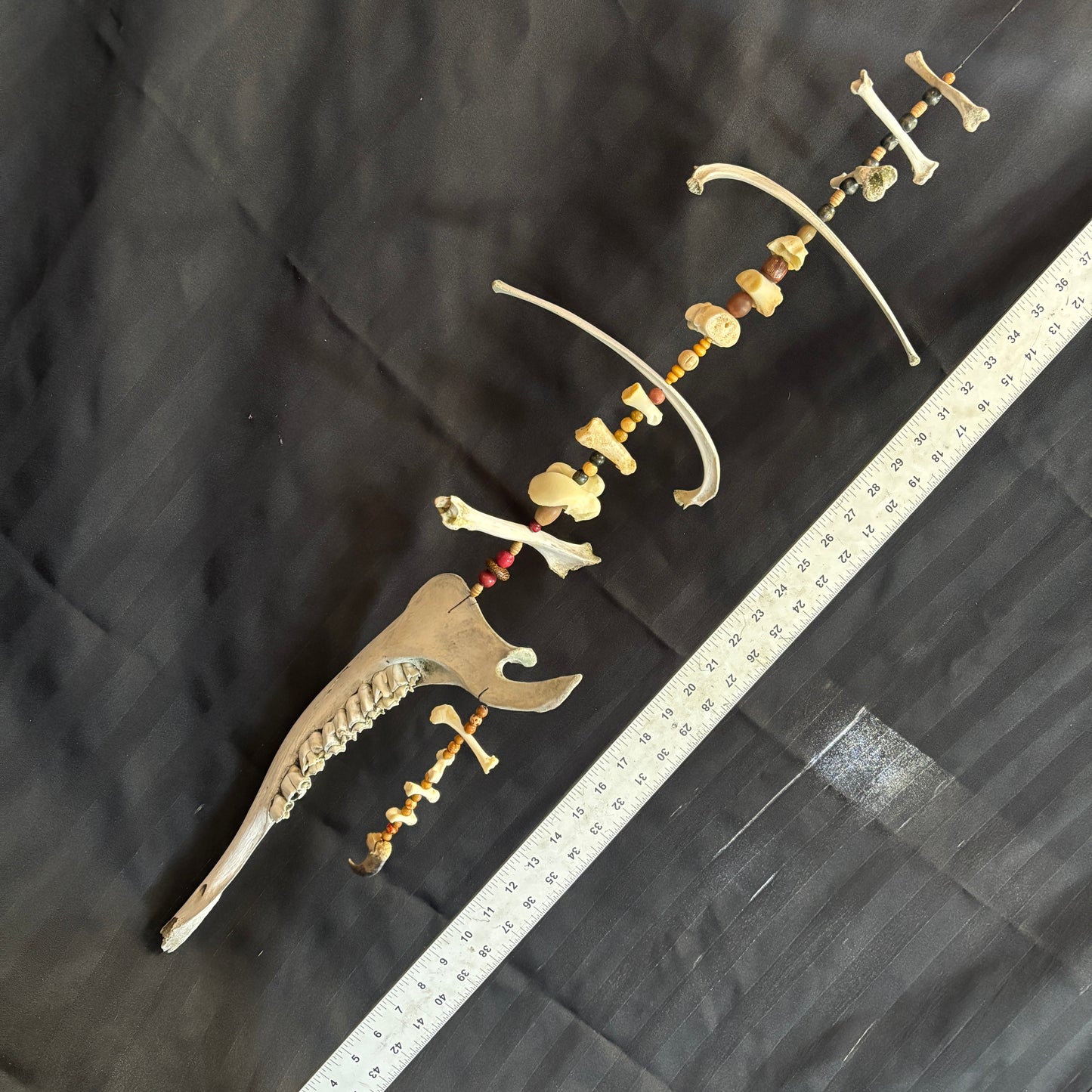 Bone Viking/Witch Ladder - Customizable