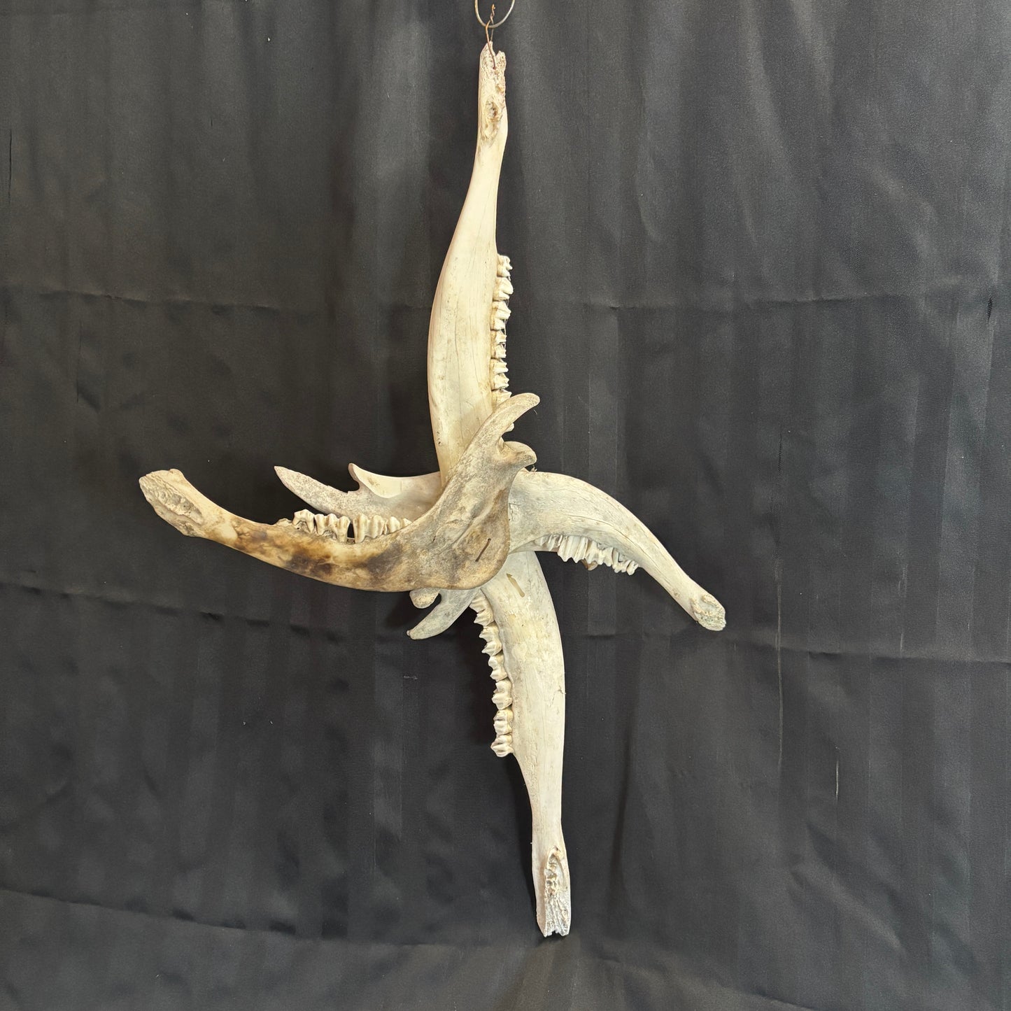 Lower Moose Jaw Bone Cross