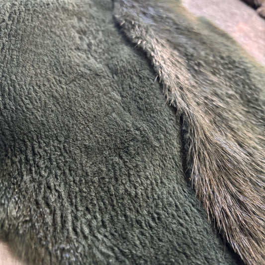 Colored and half-shaven beaver pelts