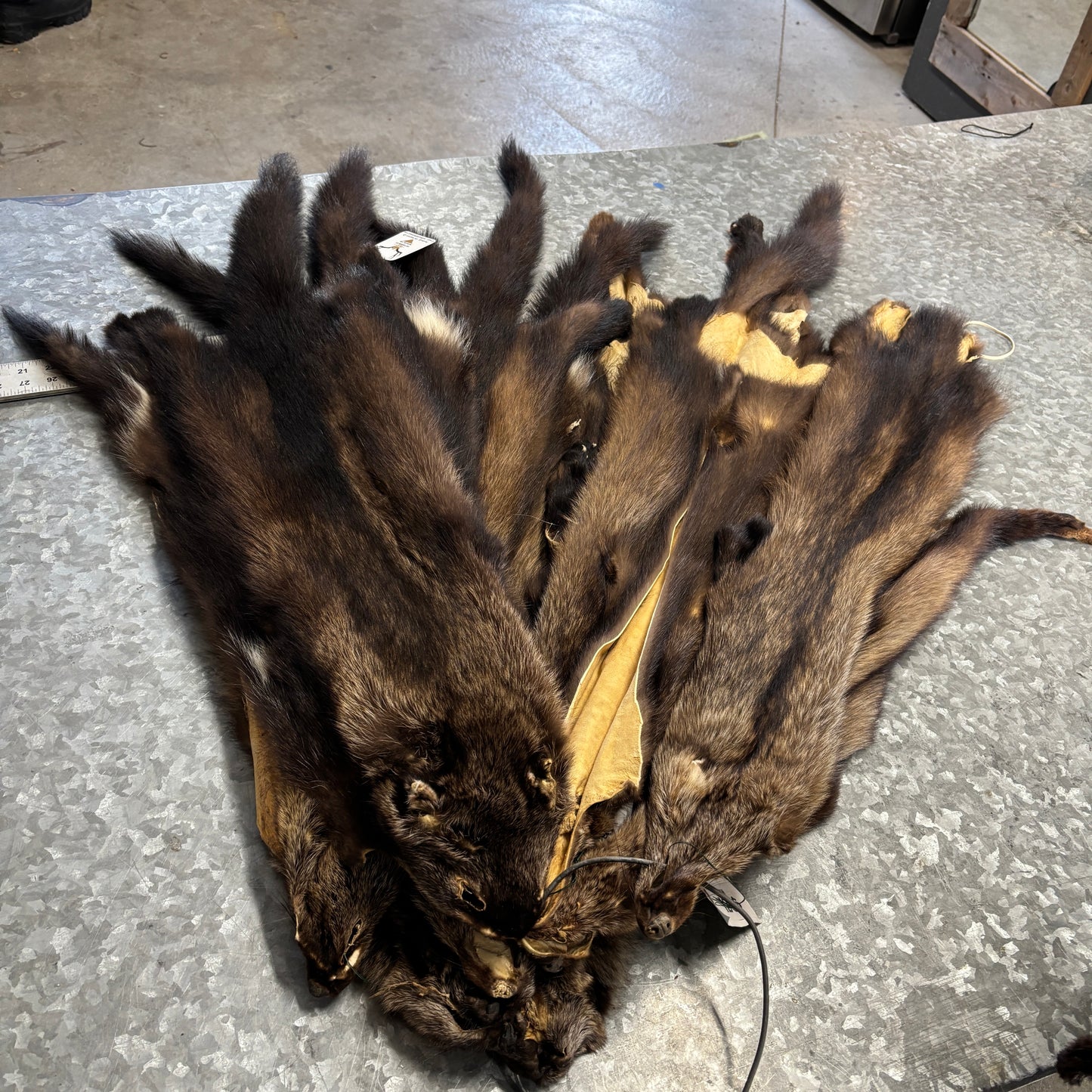Fisher fur pelt