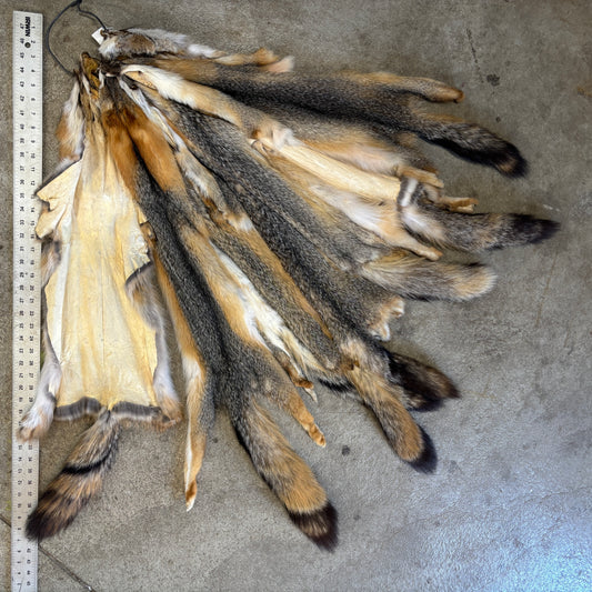Grey Fox Pelts