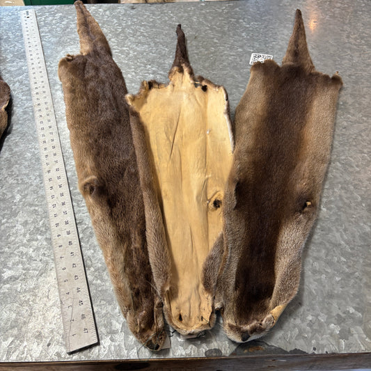 Otter Fur