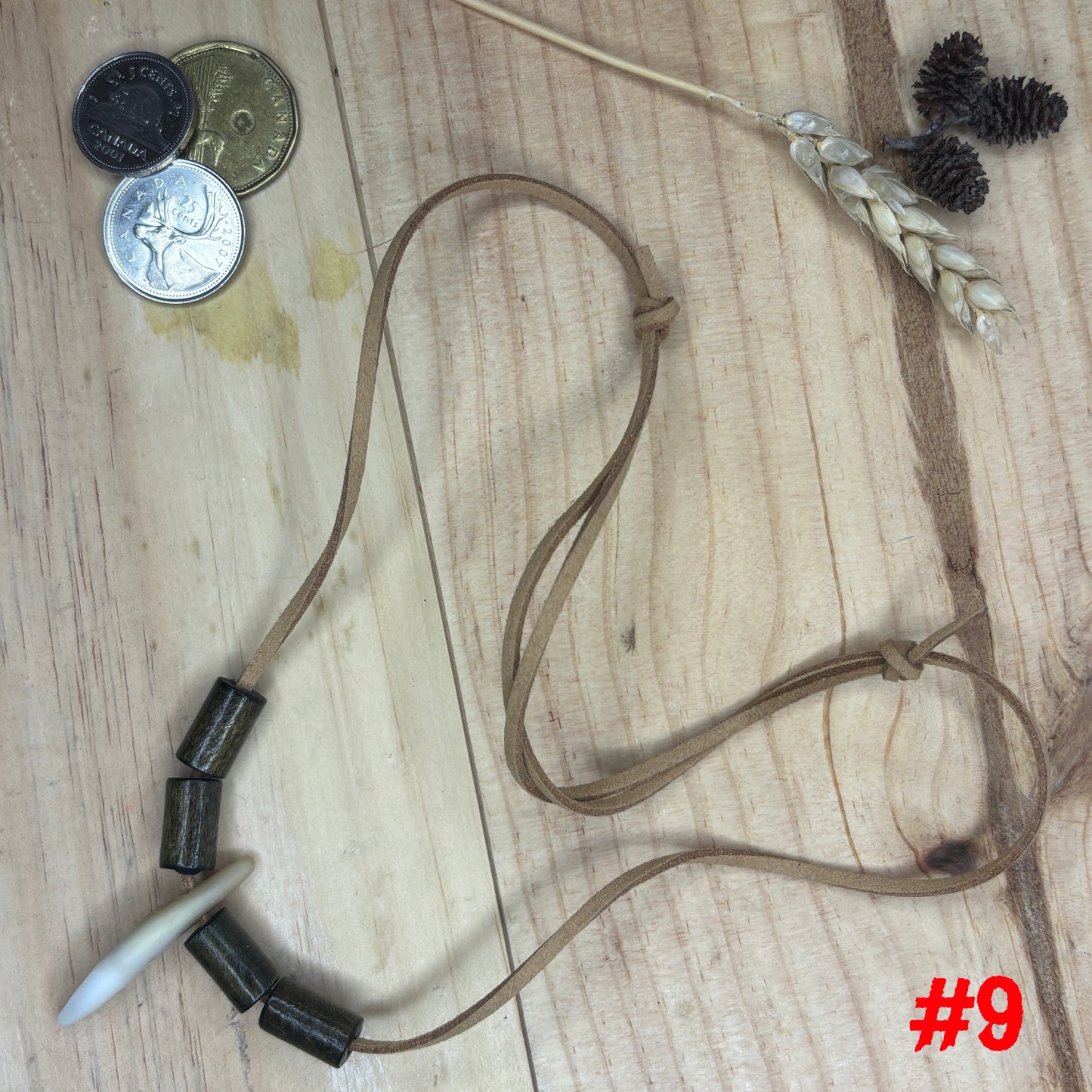 Coyote Tooth Necklace