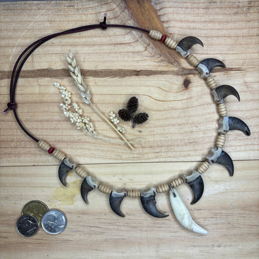 Bear tooth and claws necklaces