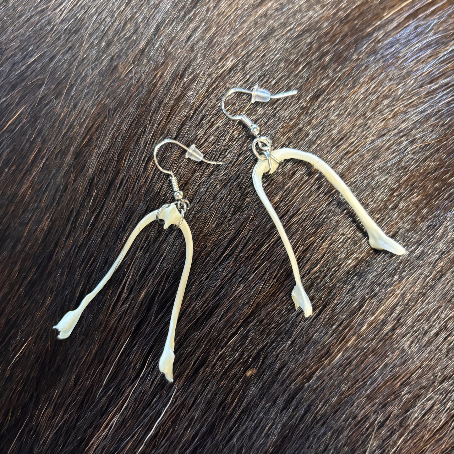 Earrings - Wishbones
