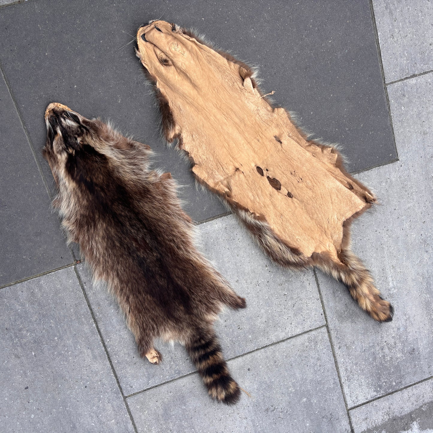 Raccoon Fur Pelt