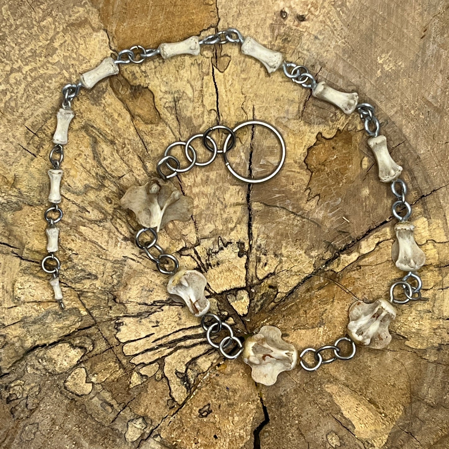Wild Boar Tail Chain