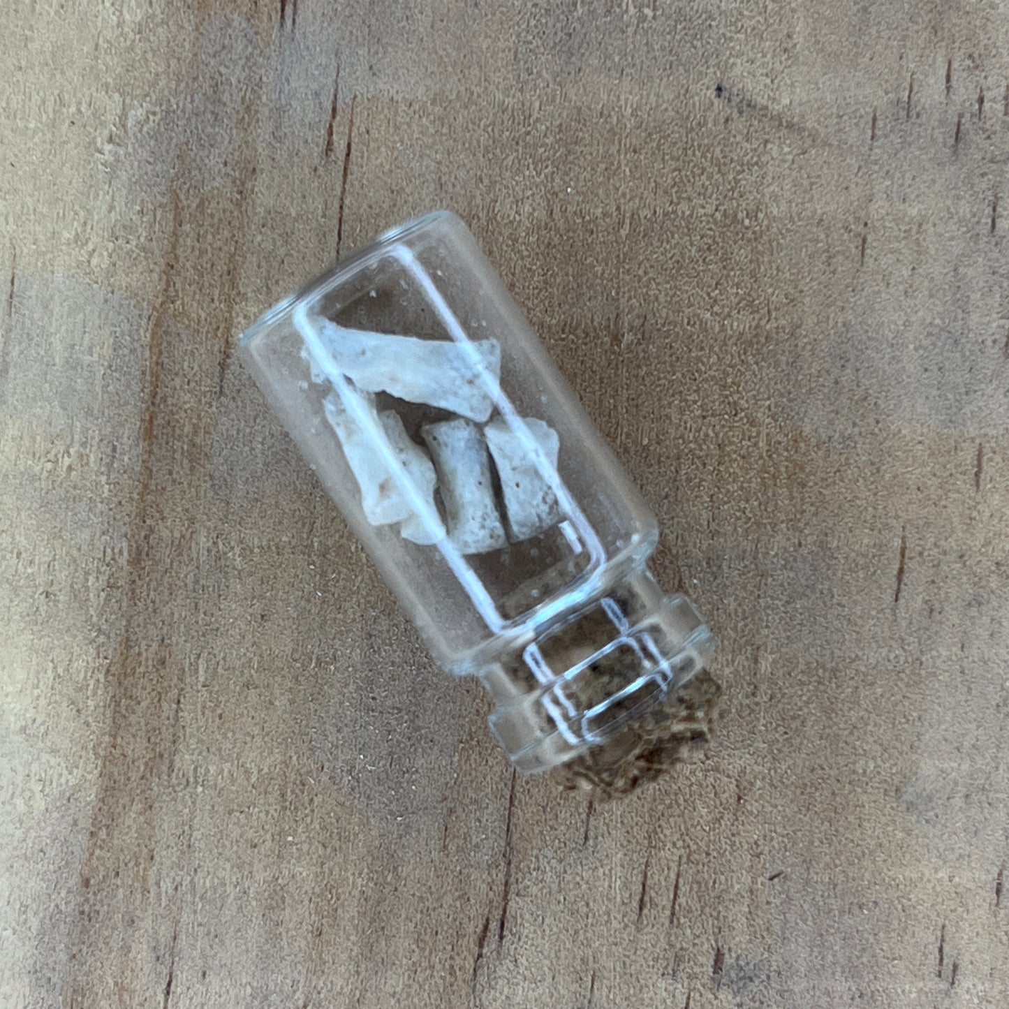 Small Bottle of Wild Boar Bone