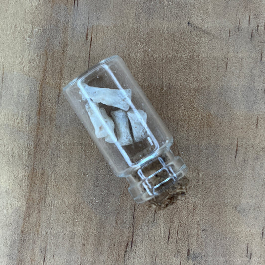 Small Bottle of Wild Boar Bone
