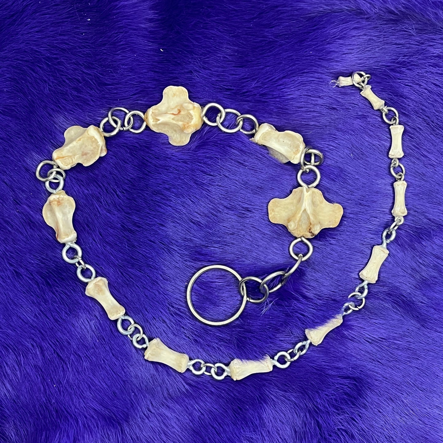 Wild Boar Tail Chain