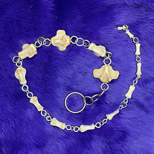 Wild Boar Tail Chain