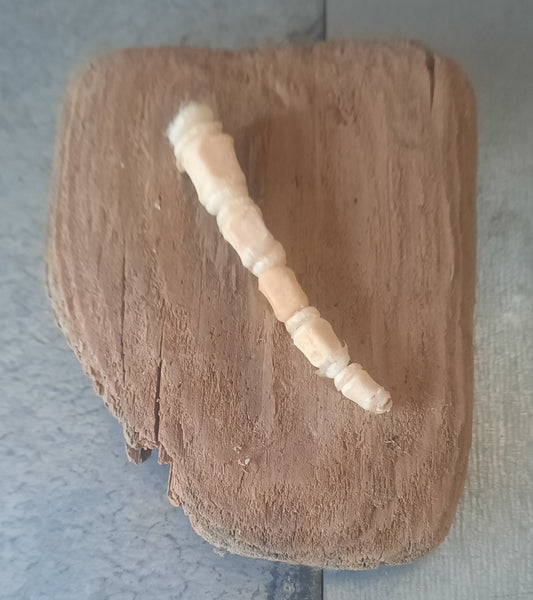 Seal Tail Frame