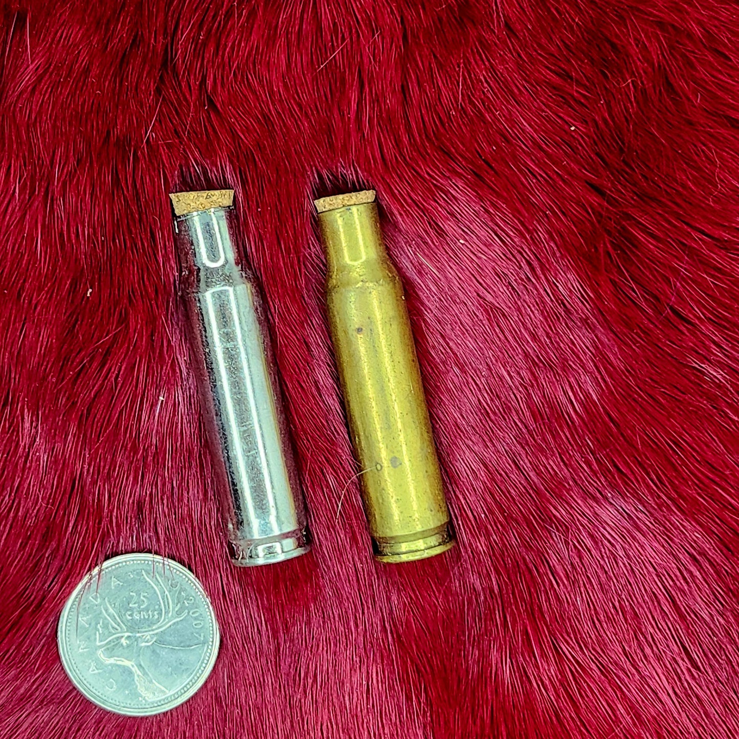 Bone and Shell Vials