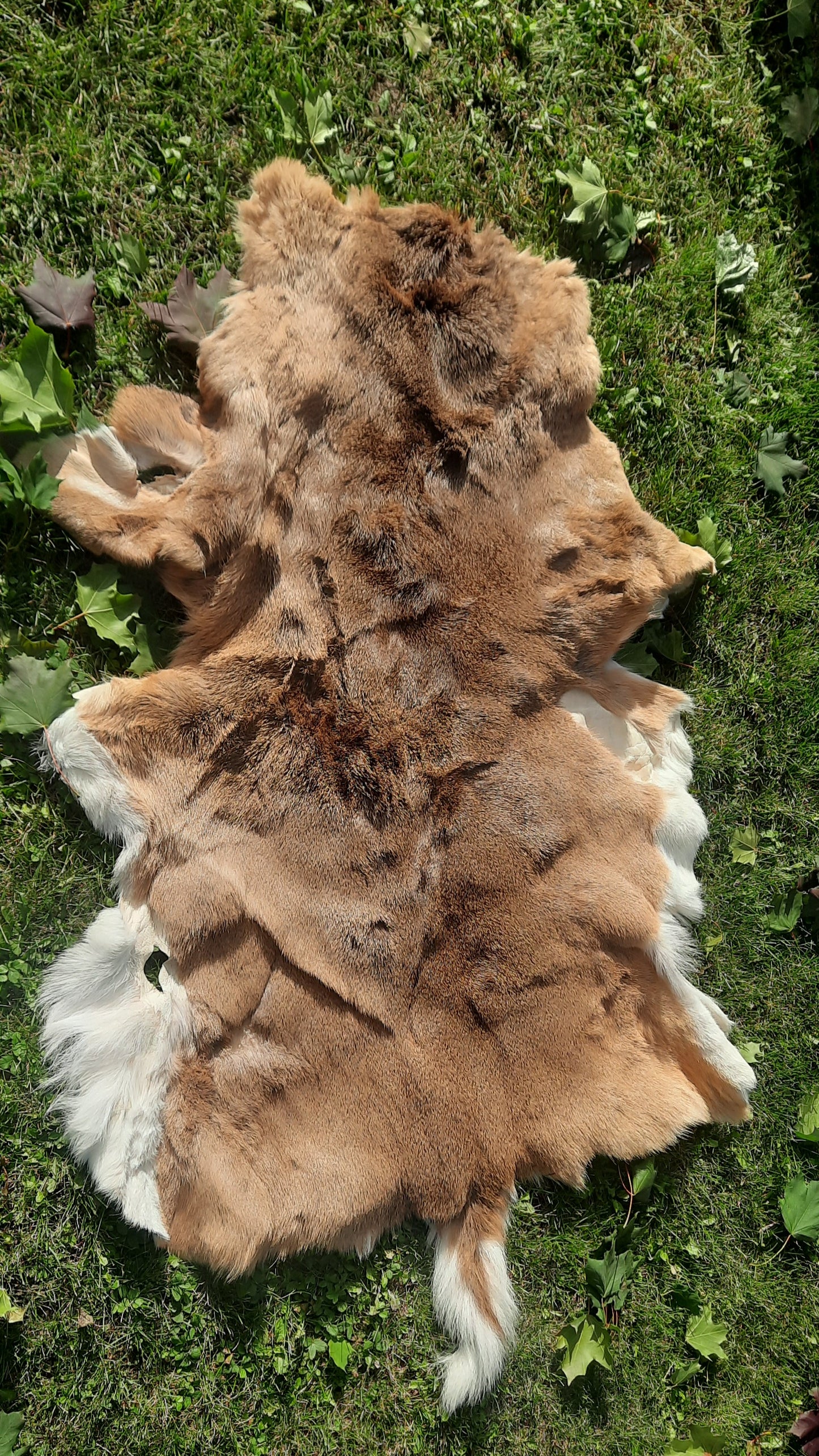 Deer Fur Pelt