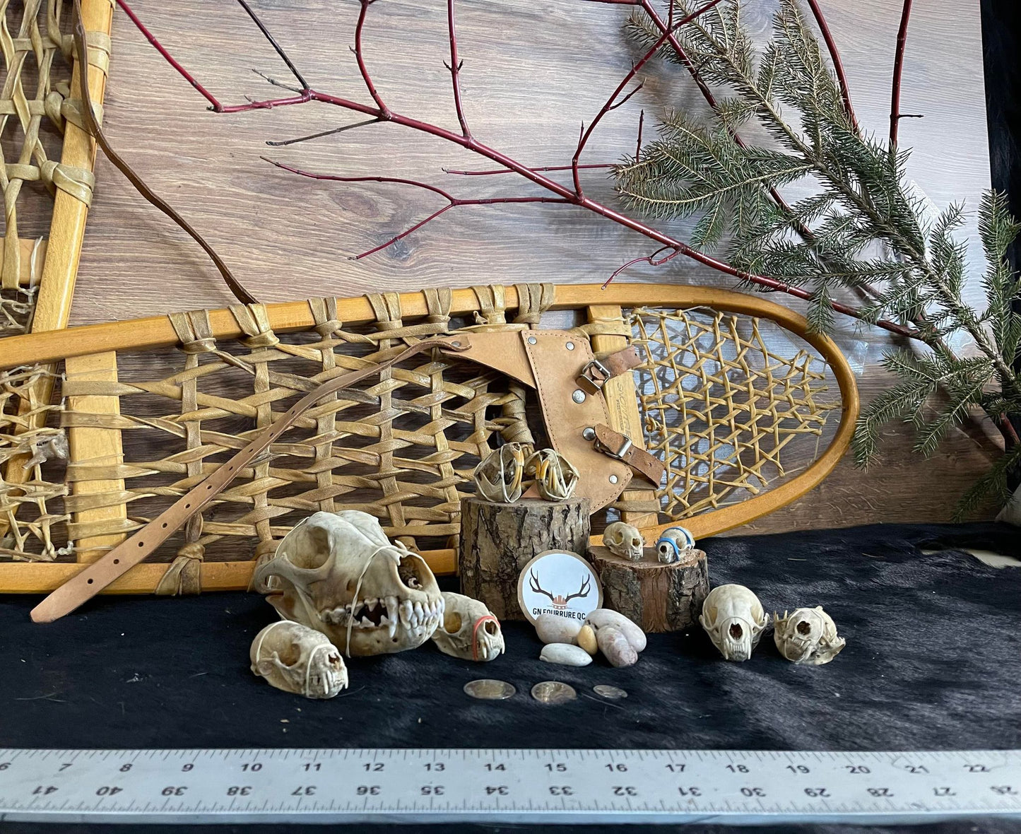 Custum Skull Collection