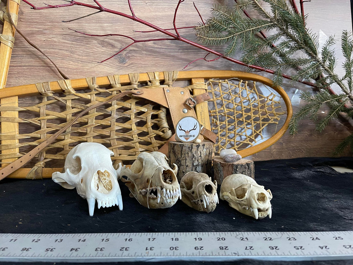 Custum Skull Collection