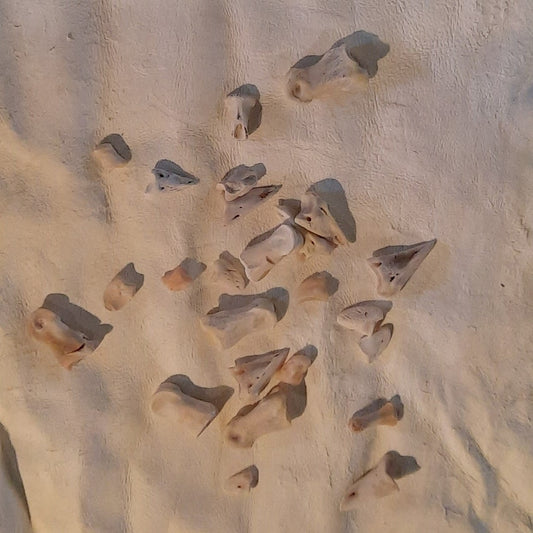 Deer Druid Throwing Bones,