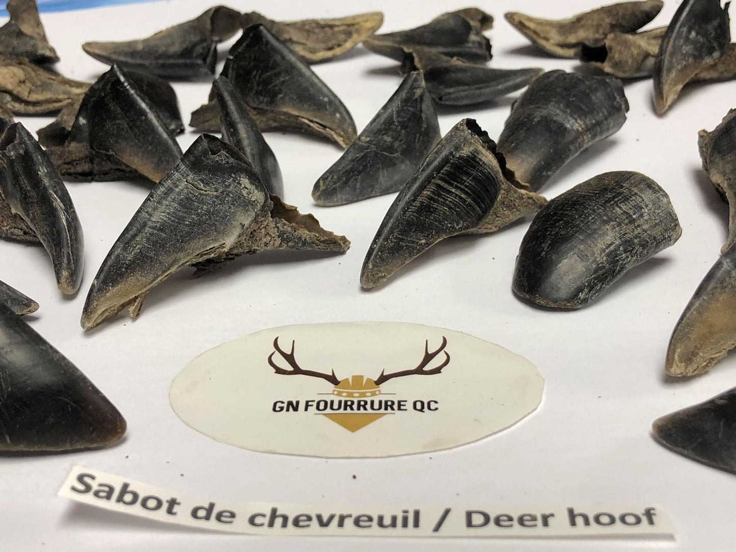 Sabots de cerf
