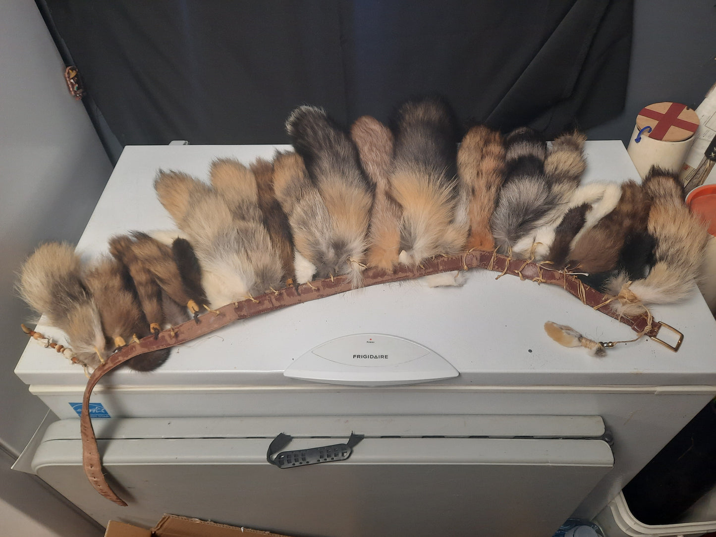 Ceinture queue de renard et coyote - Produit personnalisé