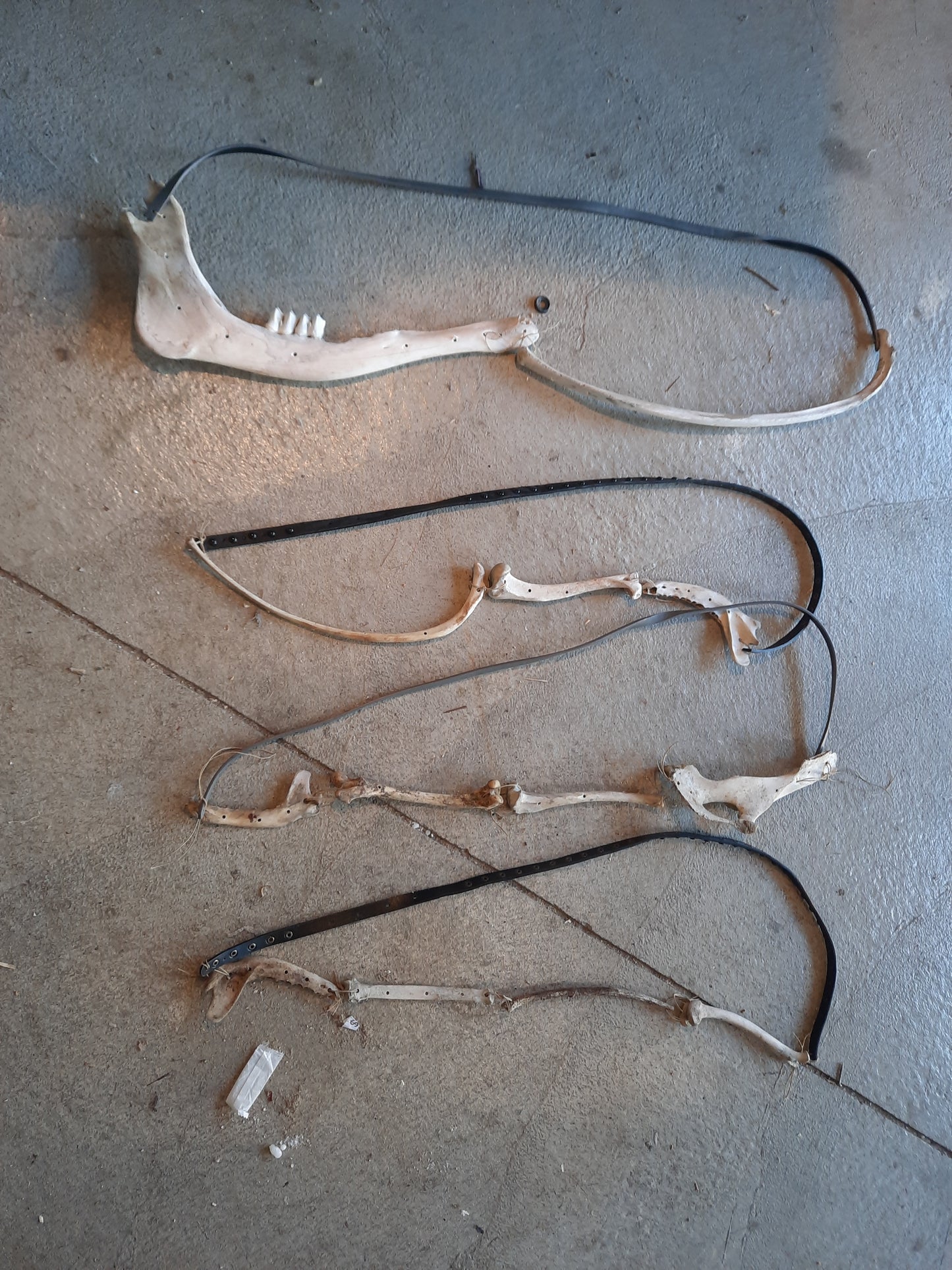 Bone Shoulder Strap Belt