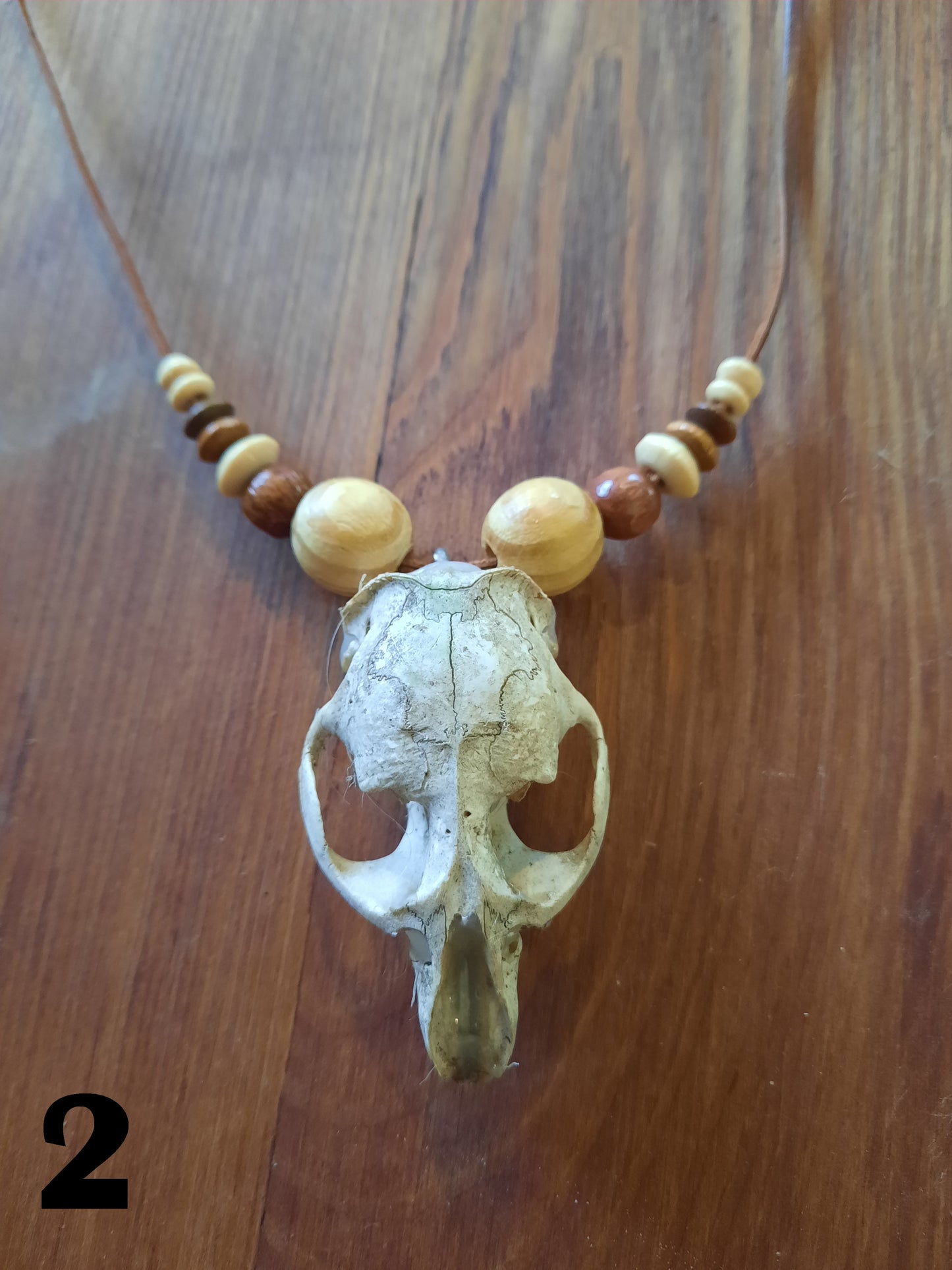 Small Animal Skull Necklace