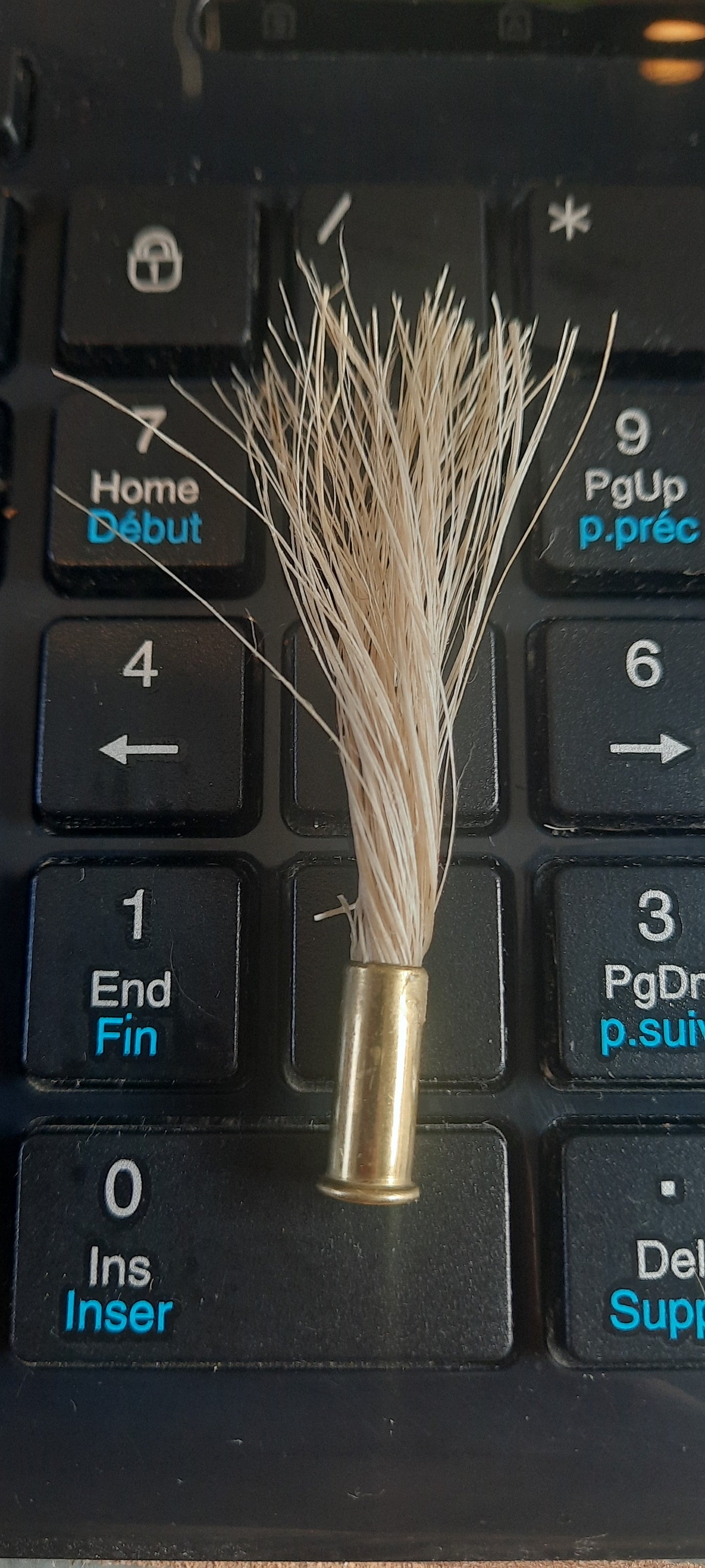Crin de cheval, cartouche recyclée