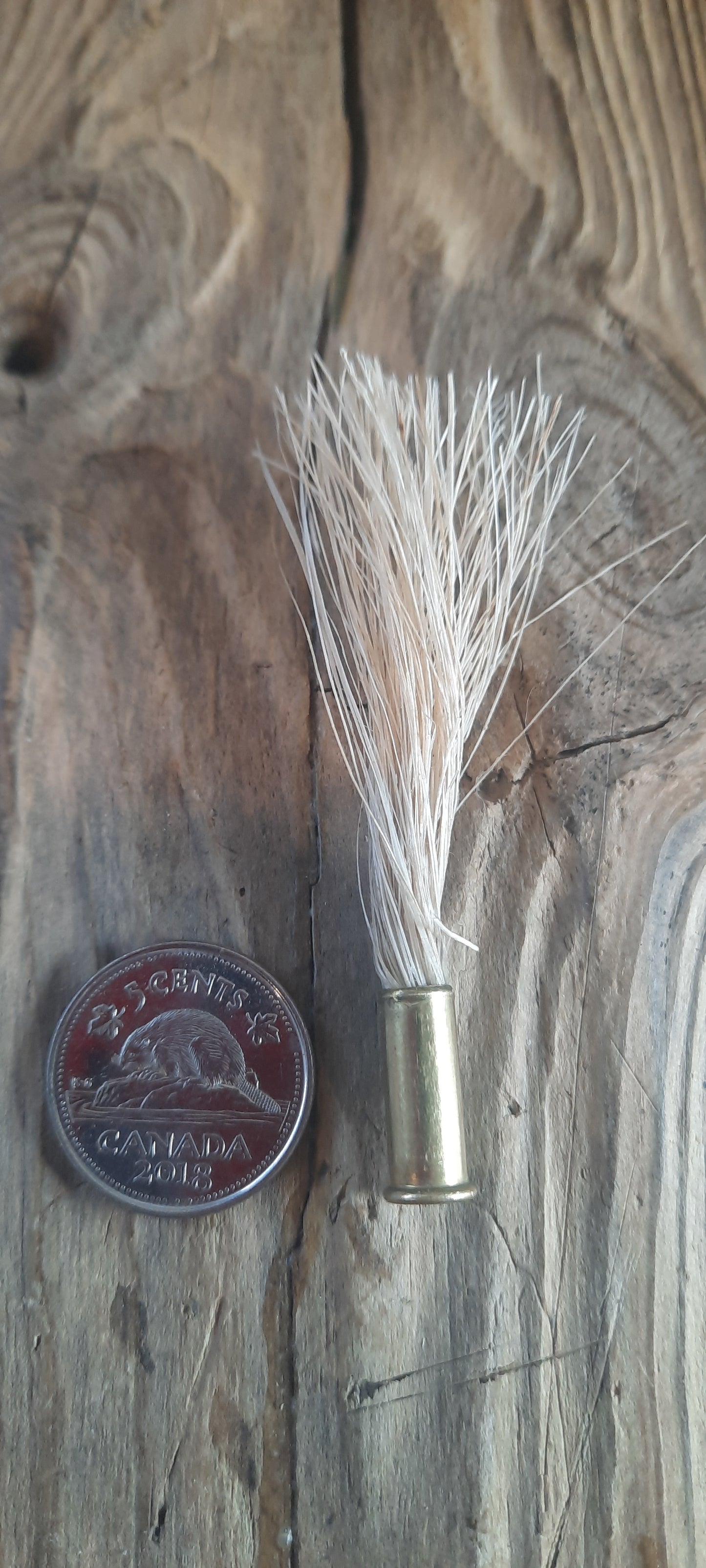 Crin de cheval, cartouche recyclée