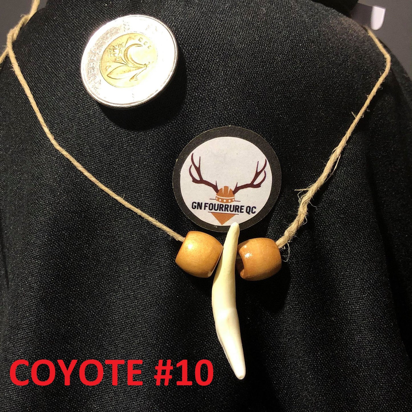 Coyote Tooth Necklace