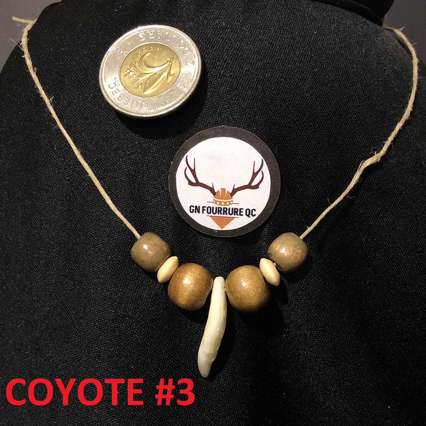 Coyote Tooth Necklace