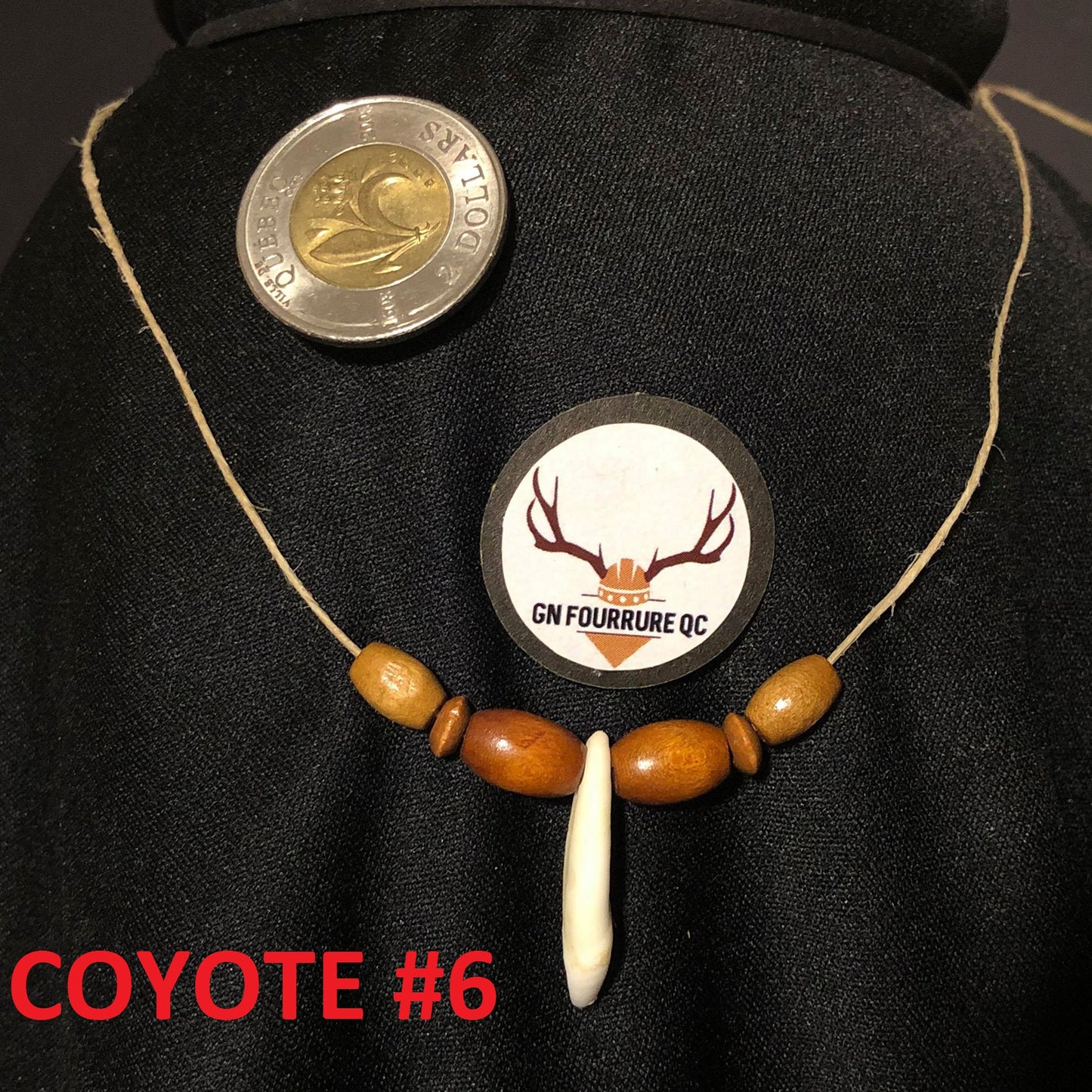 Coyote Tooth Necklace