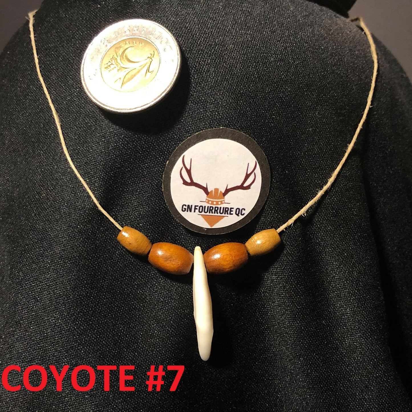 Coyote Tooth Necklace