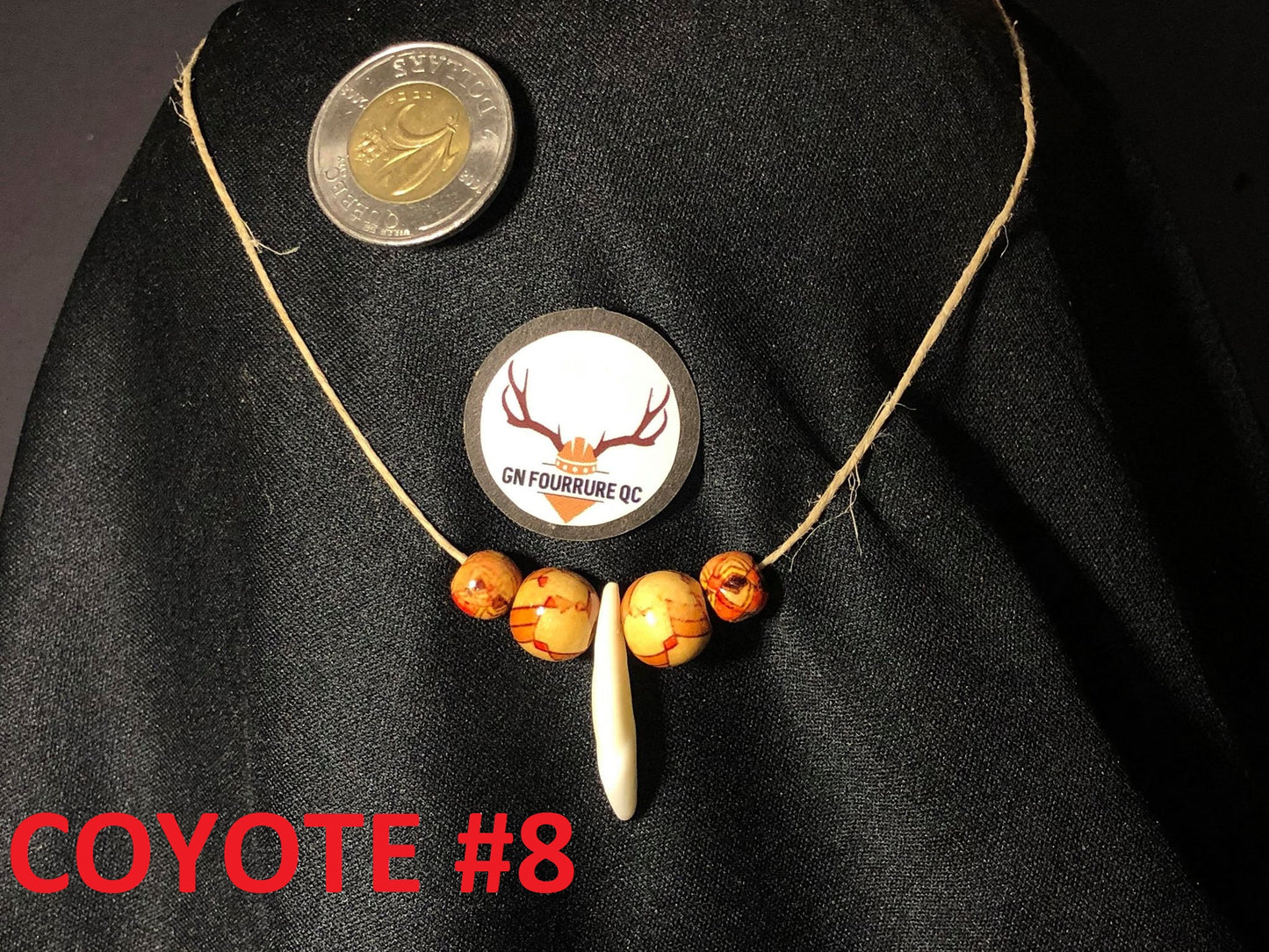 Coyote Tooth Necklace