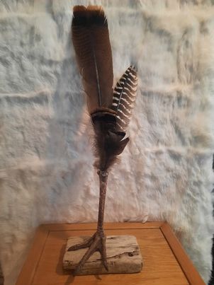Turkey Leg with feathers - Oddity