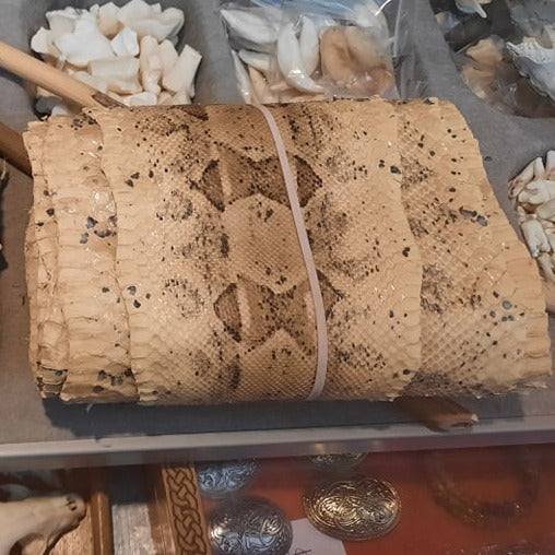 Boa constrictor imperator en peau de serpent
