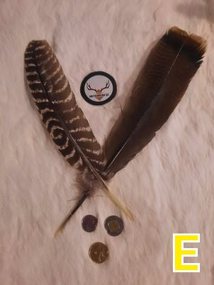 Plumes de dinde