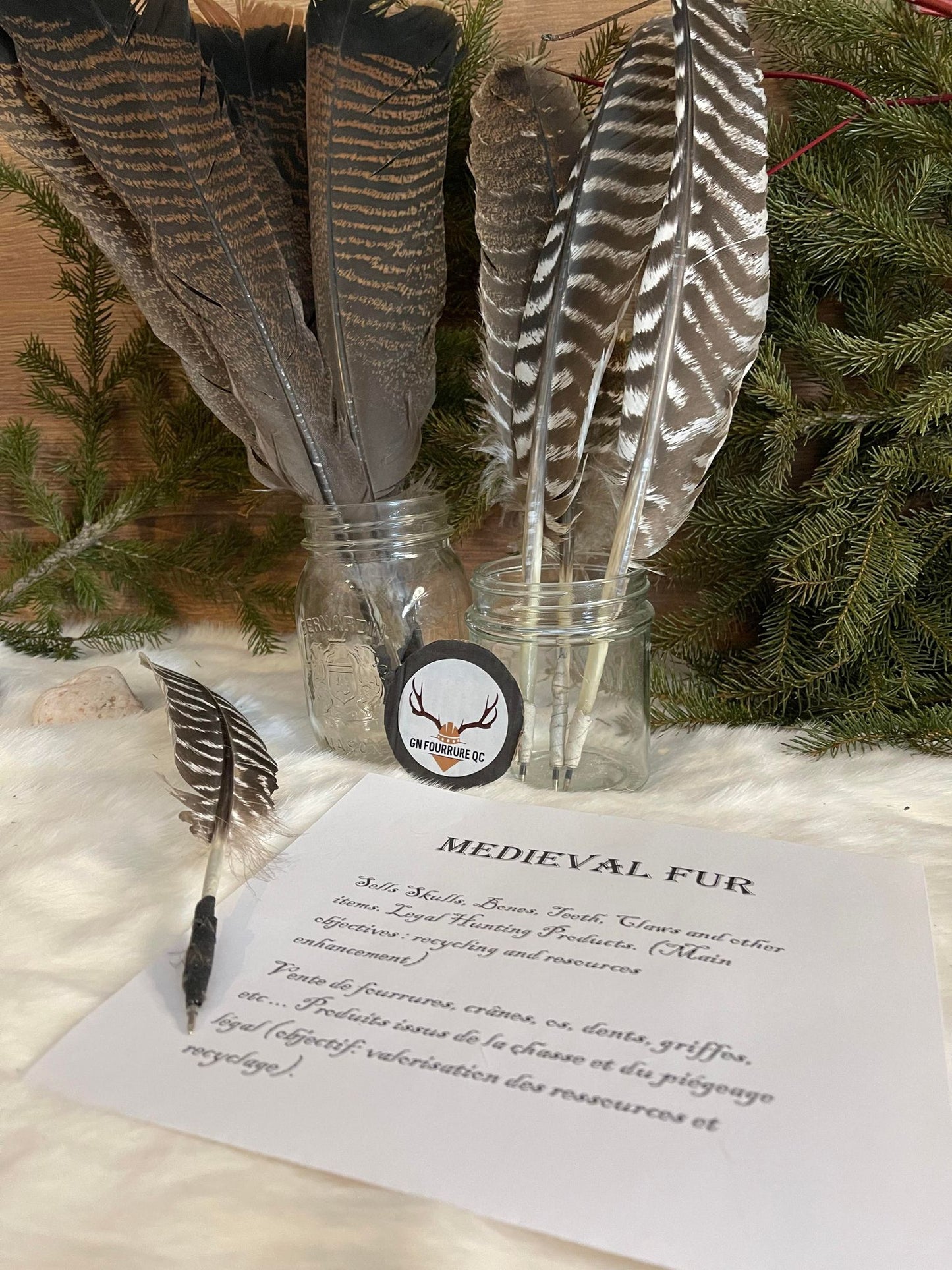 Turkey Feather Pens