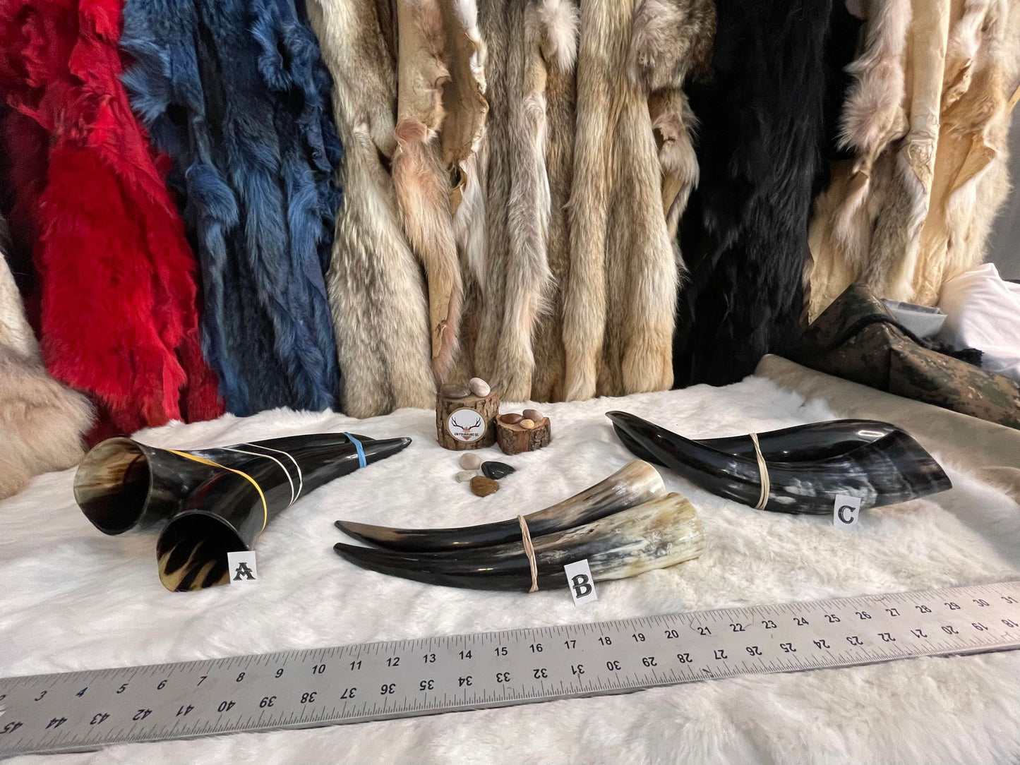 Ensemble de cornes à boire