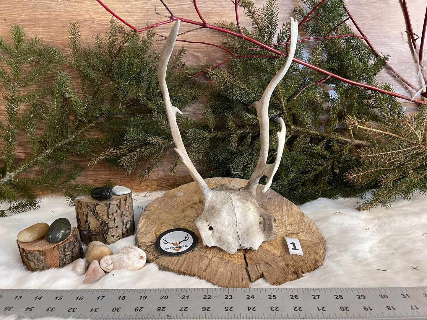Caribou Antler Skull Cap