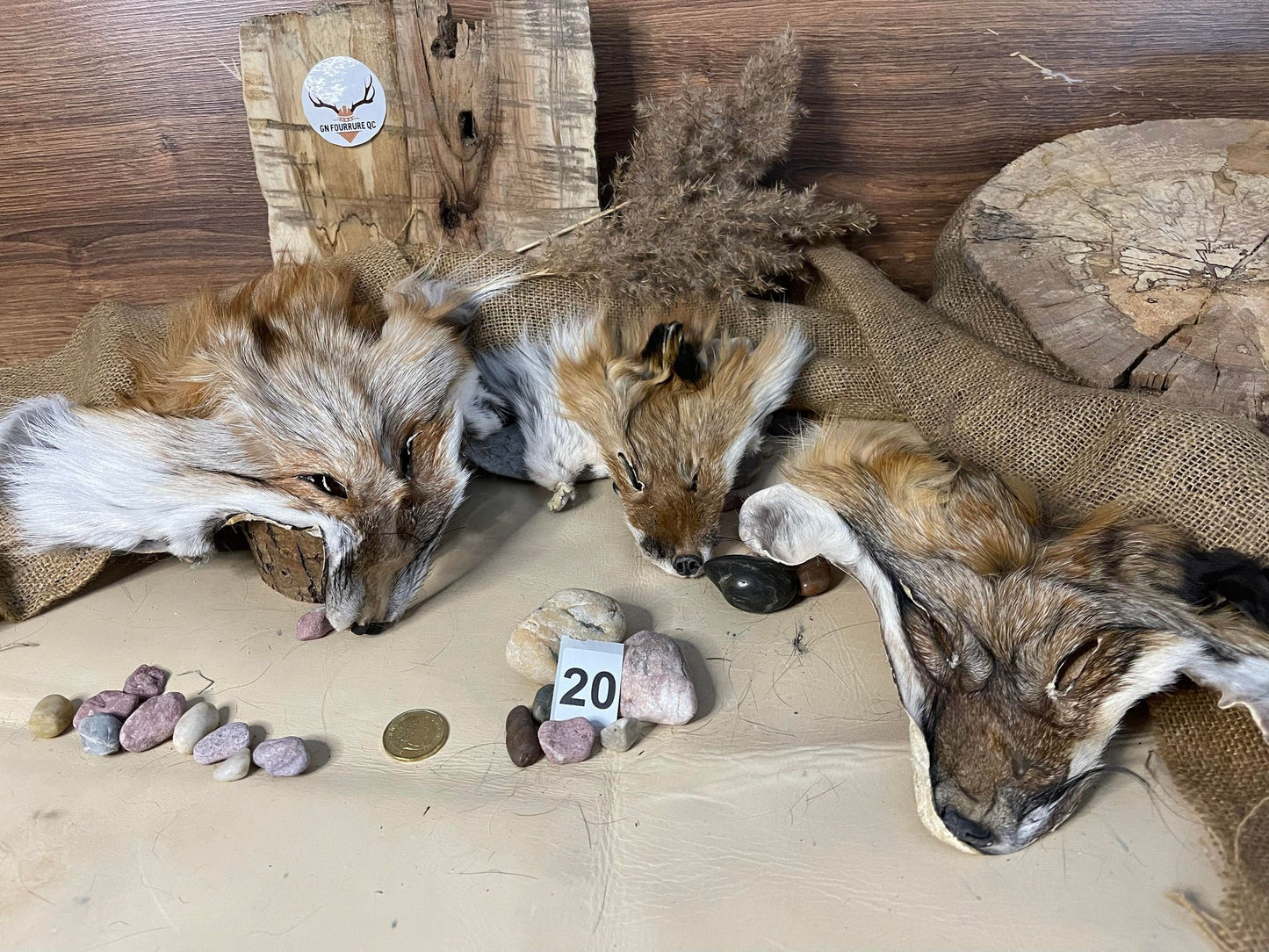 Fox Head Pelt