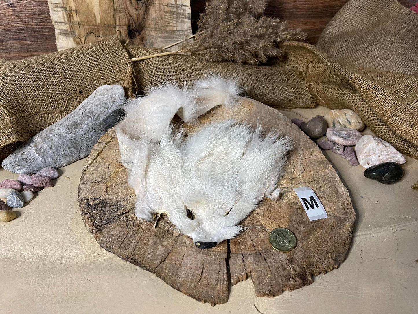Fox Head Pelt