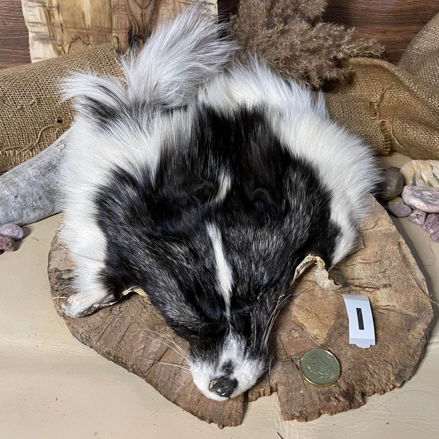 Fox Head Pelt