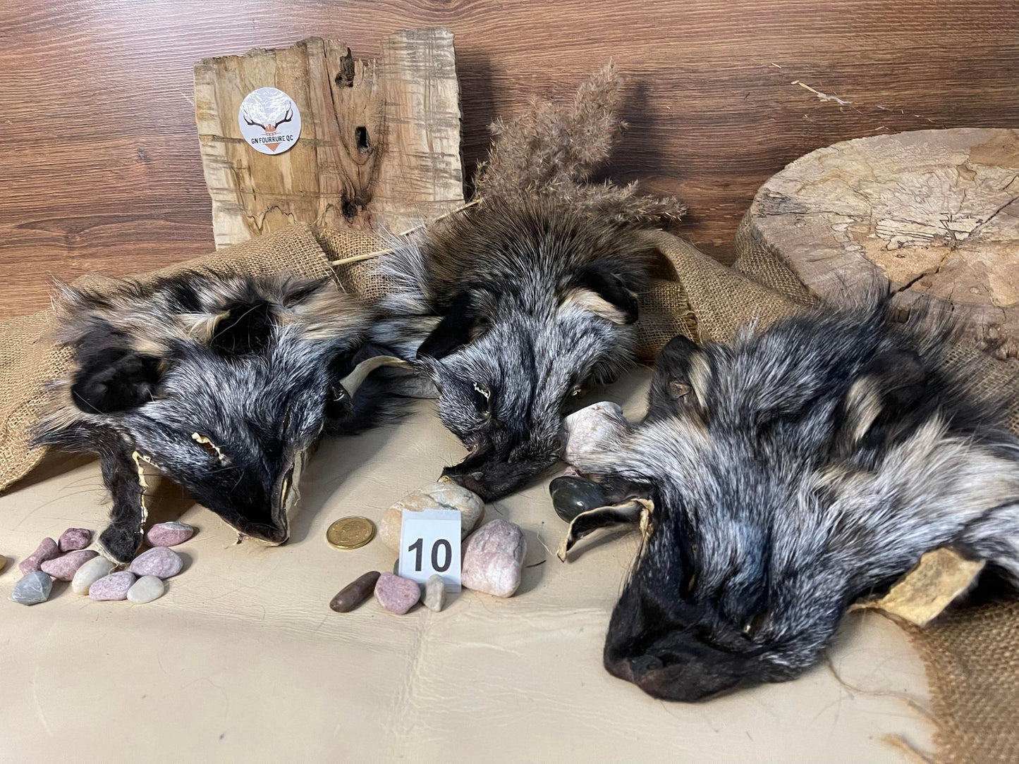 Fox Head Pelt