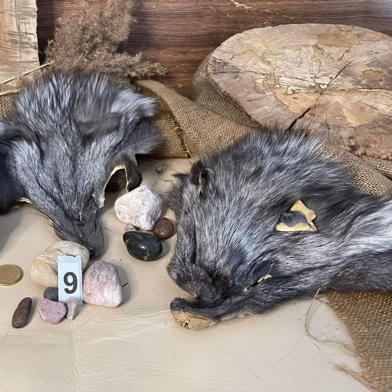 Fox Head Pelt