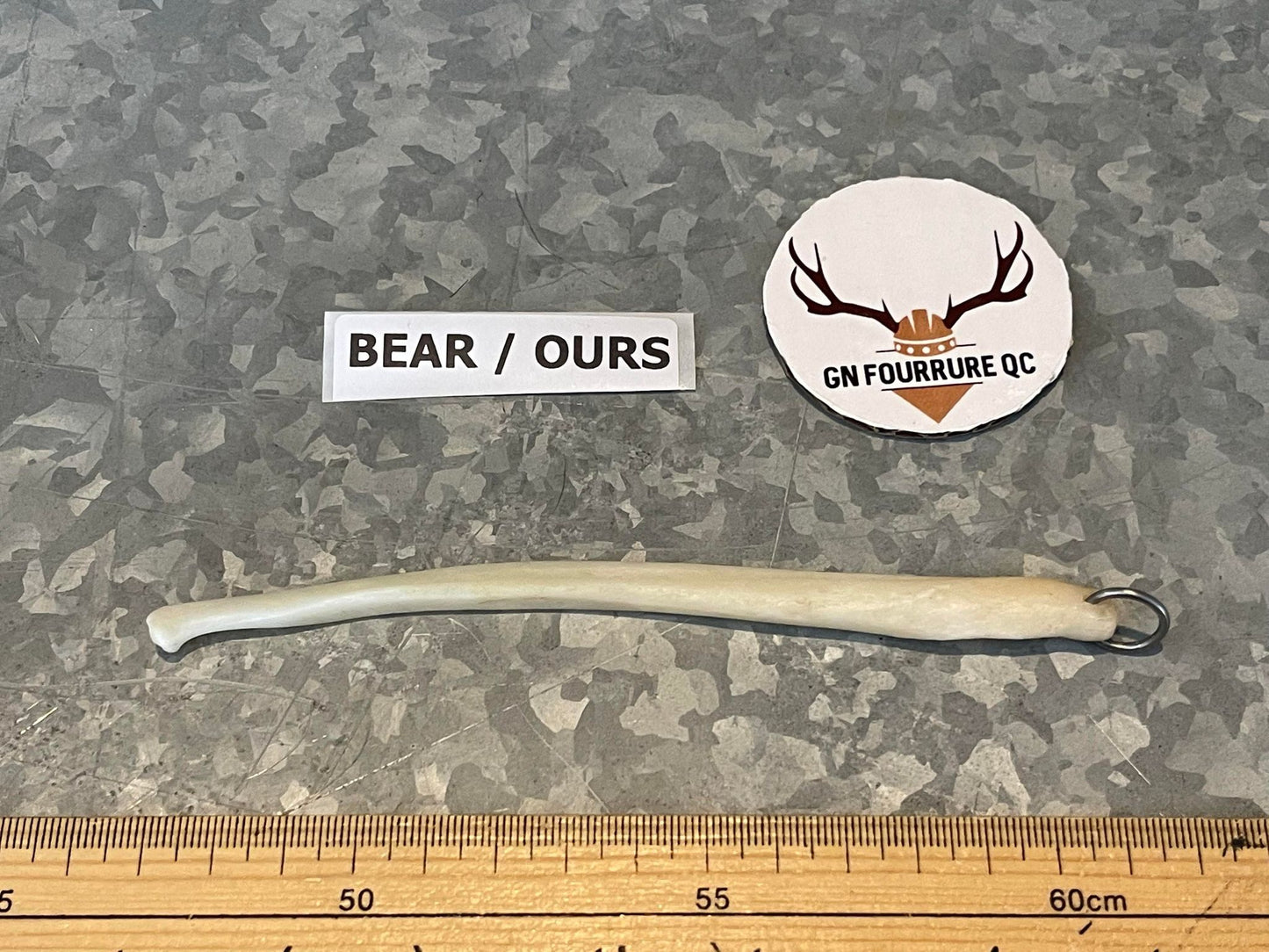 Pendentif Baculum en os d'ours