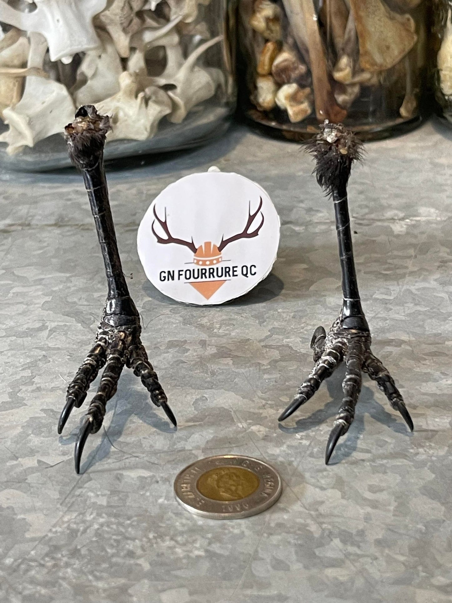 Crow Feet Standing