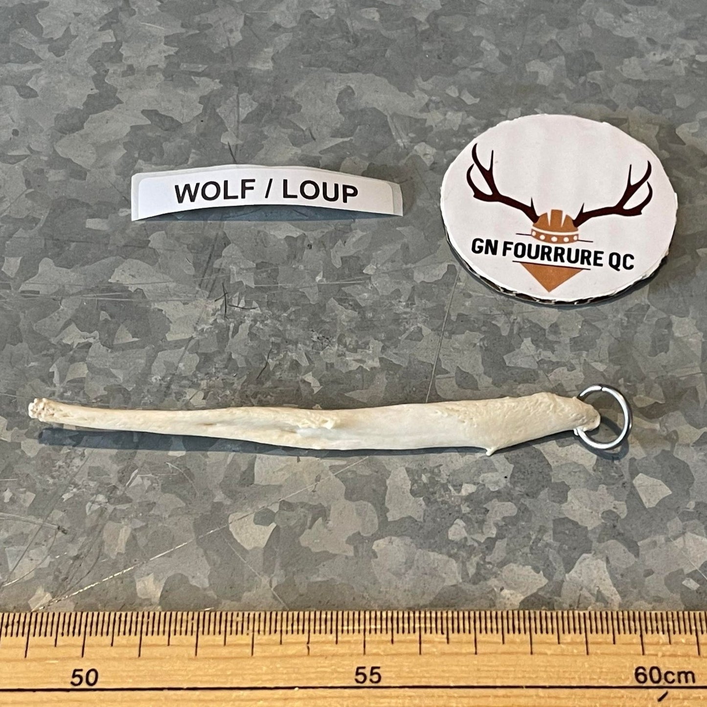 Pendentif en os de loup Baculum