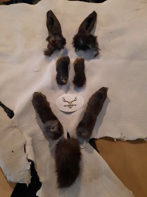 Rabbit Fur - Ears
