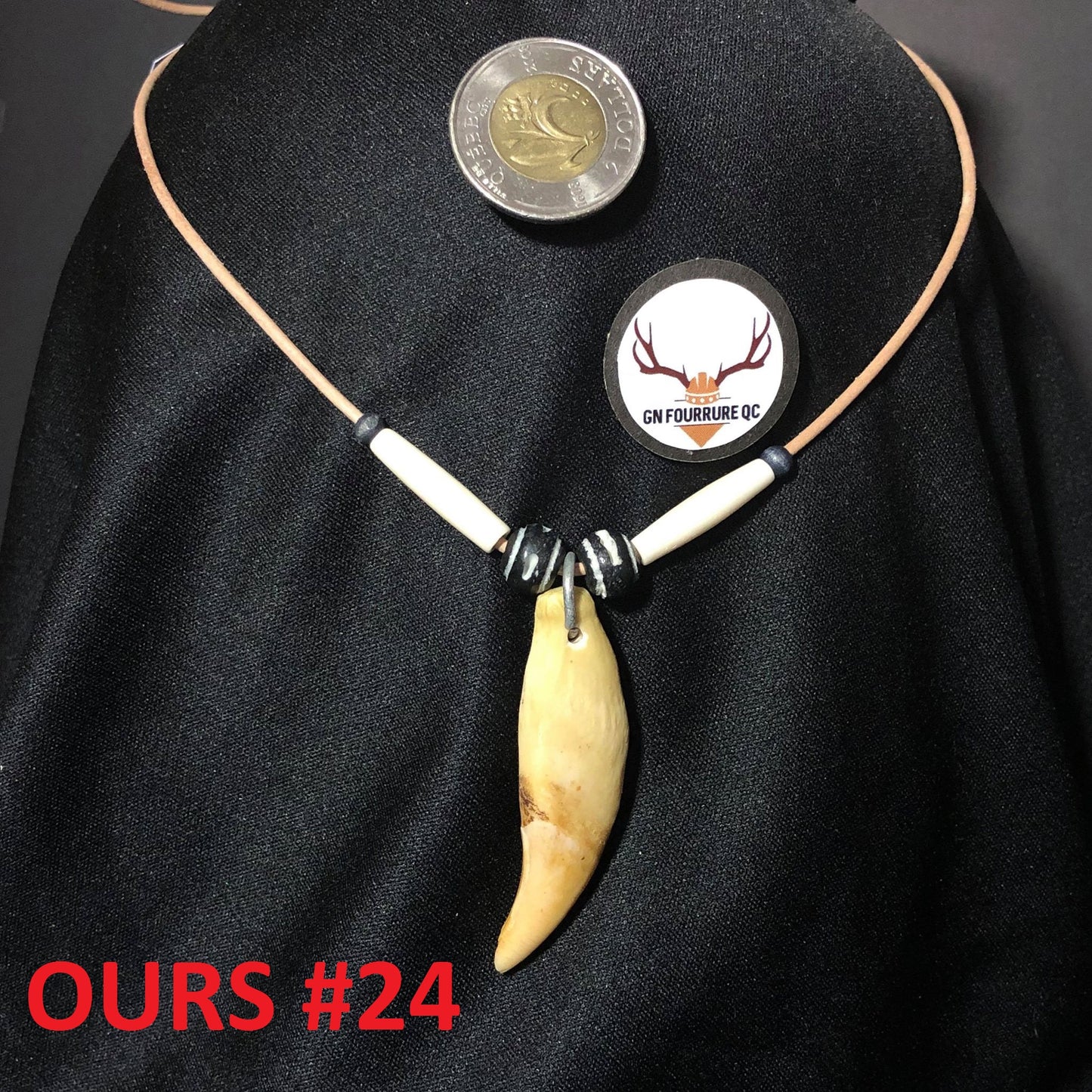 Bear Tooth Necklace Collection - Custom